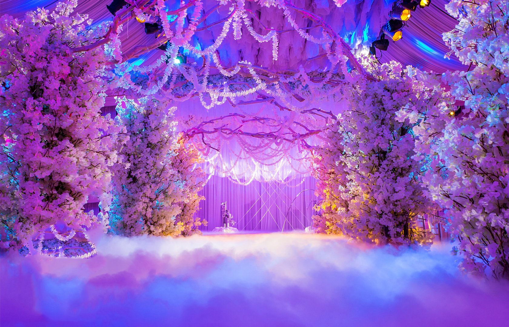 冬季紫色主题婚礼一般多少钱