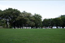 中餐厅户外图片