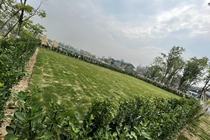 方形草坪图片