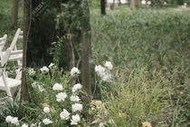 森林花园图片
